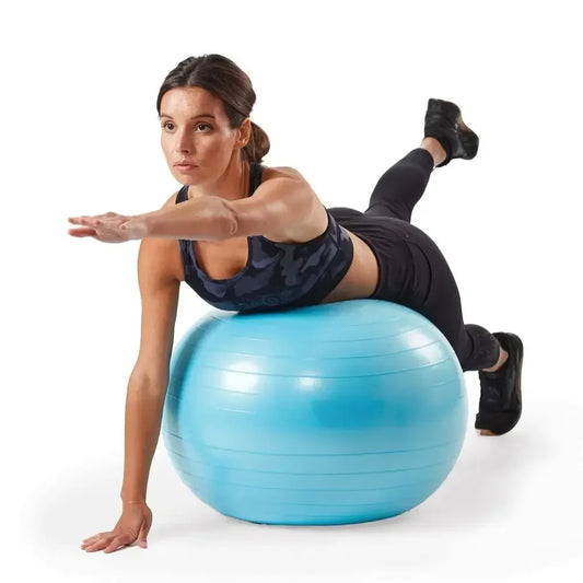 Reebok Weighted Stability Ball With Pump