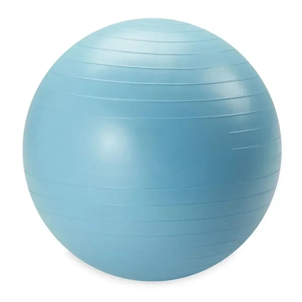 Reebok Weighted Stability Ball With Pump