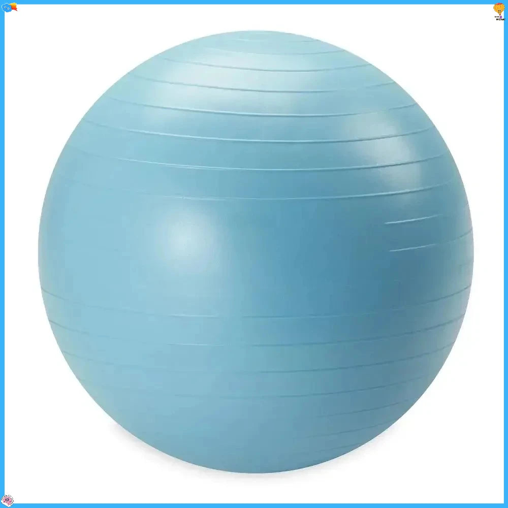 Reebok Weighted Stability Ball With Pump For Core Workouts