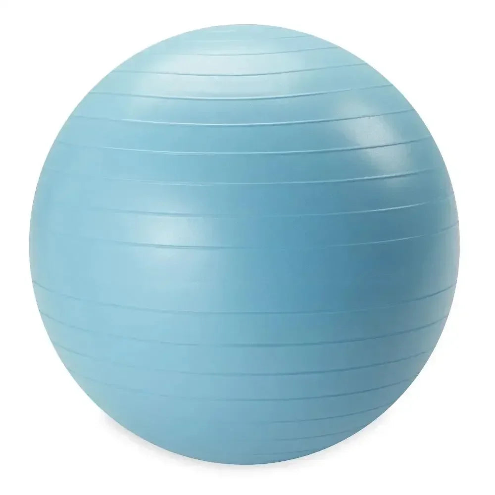 Reebok Weighted Stability Ball With Pump
